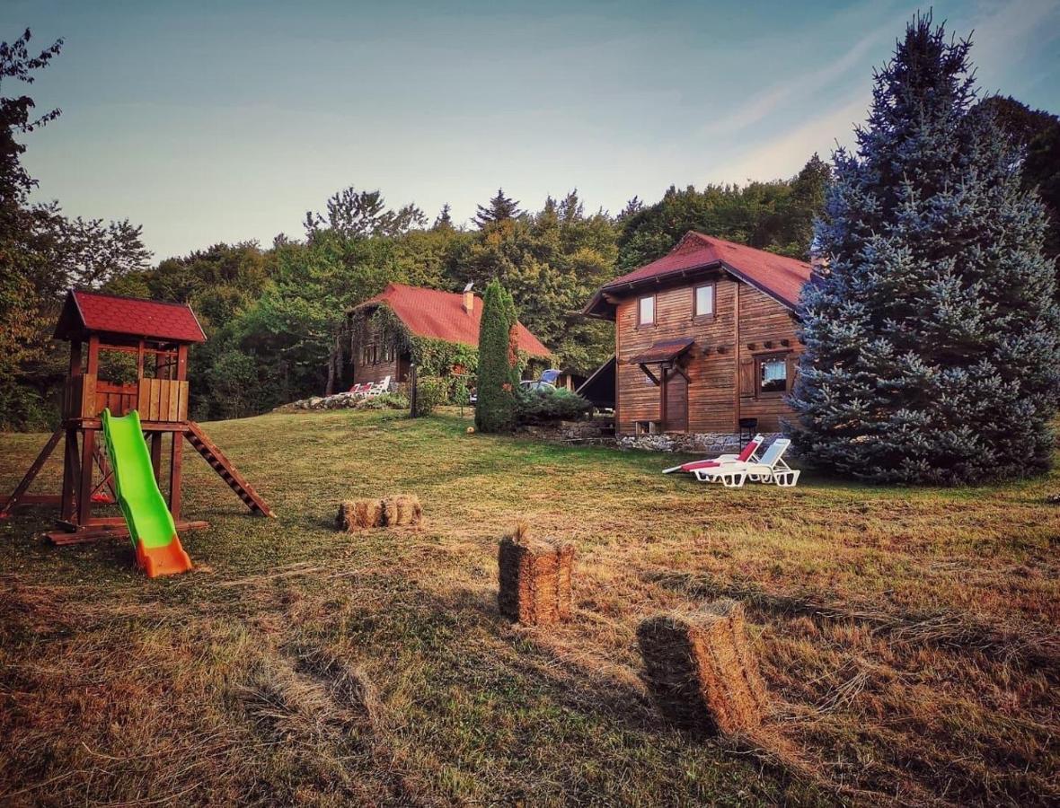 Woodenhouse With Two Apartments Otočac Esterno foto
